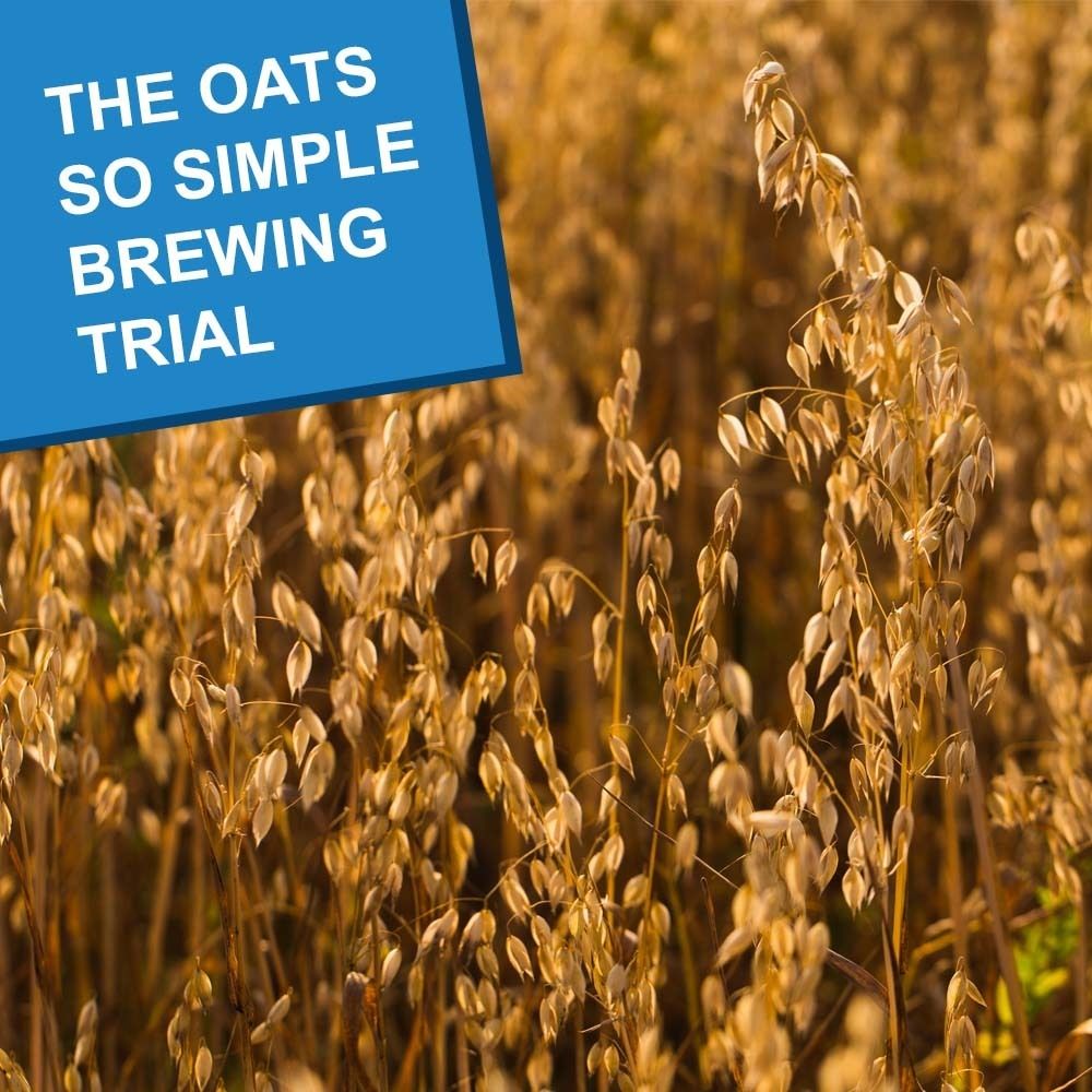 S1: The Oats-So-Simple Brewing Trial