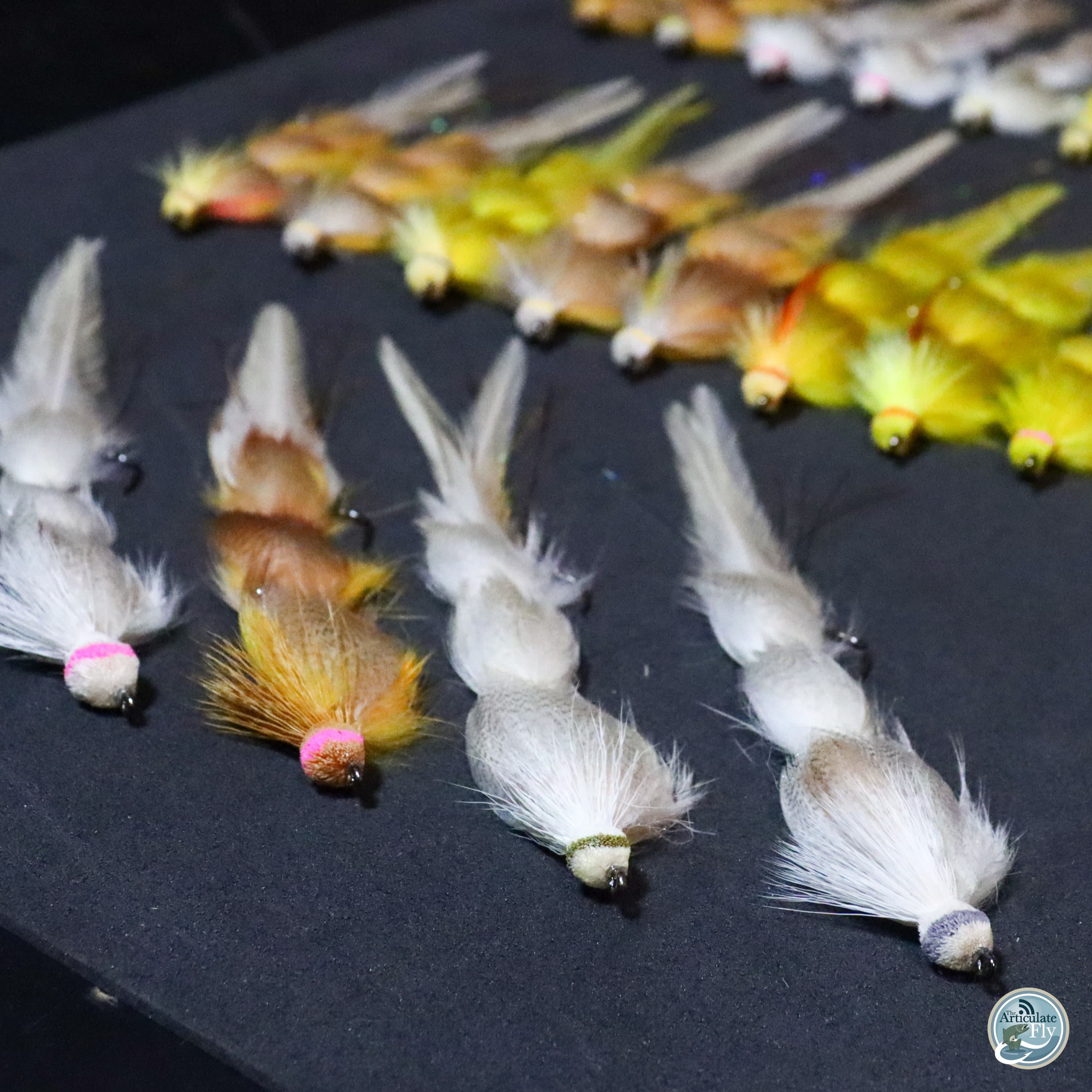 S7, Ep 71: Late Summer Shifts: Fishing Tactics and Conditions in East Tennessee with Ellis Ward