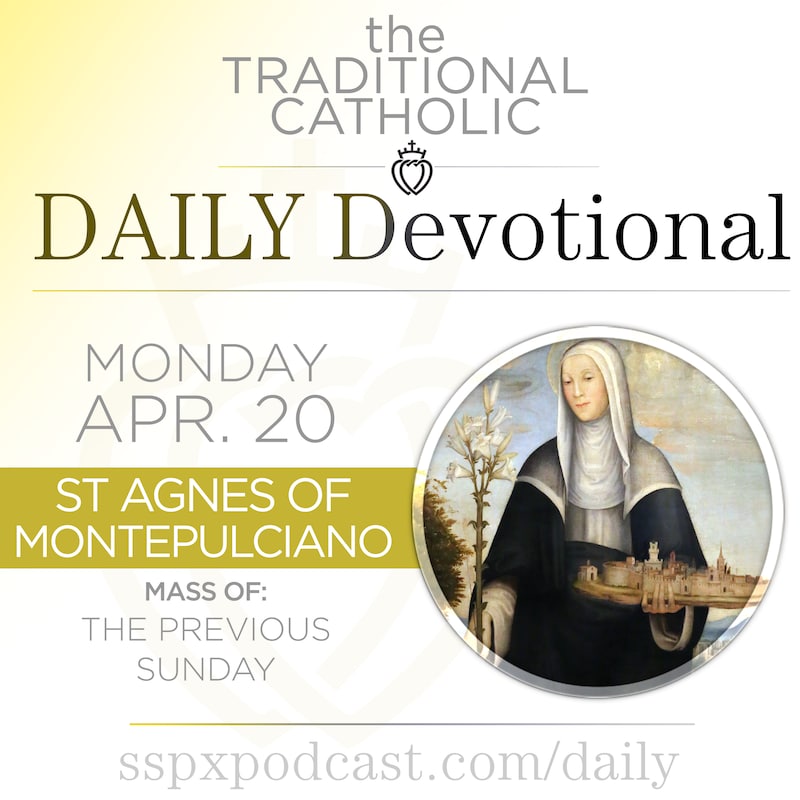Artwork for podcast Traditional Catholic Daily Devotional