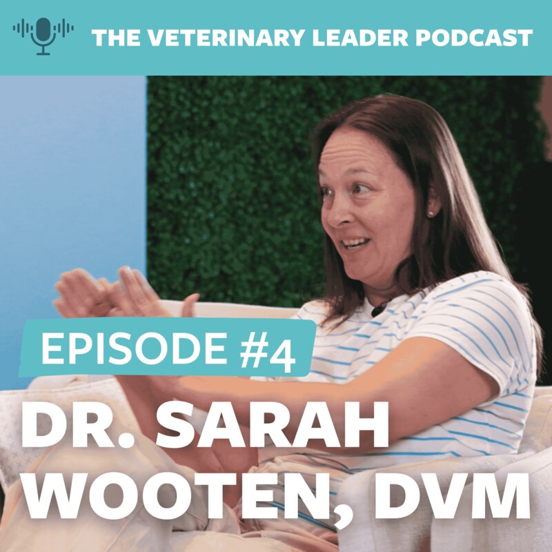 Artwork for podcast The Veterinary Leader Podcast