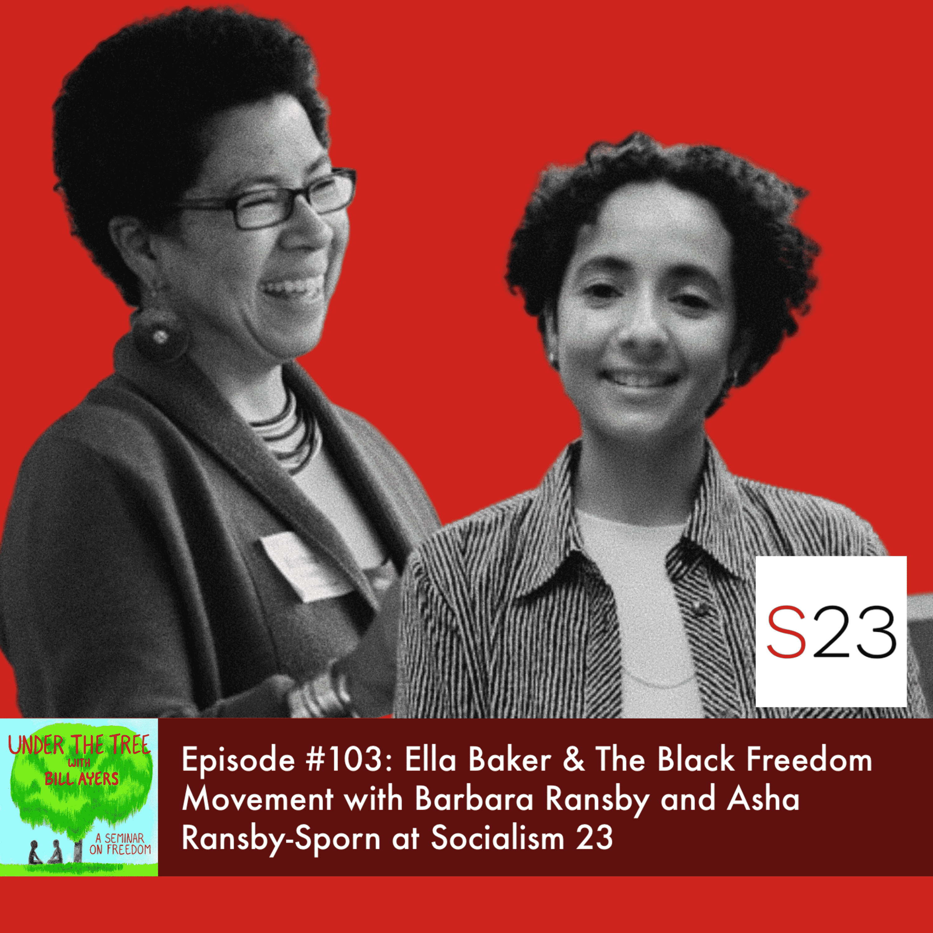 Under the Tree: A Seminar on Freedom with Bill Ayers