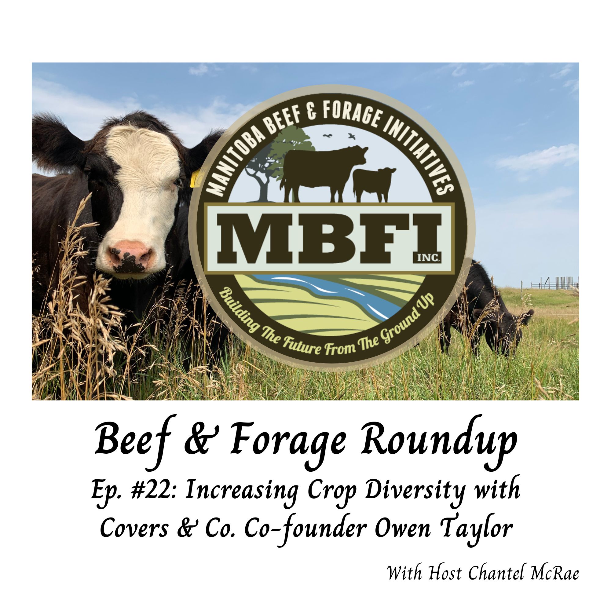 Beef and Forage Roundup