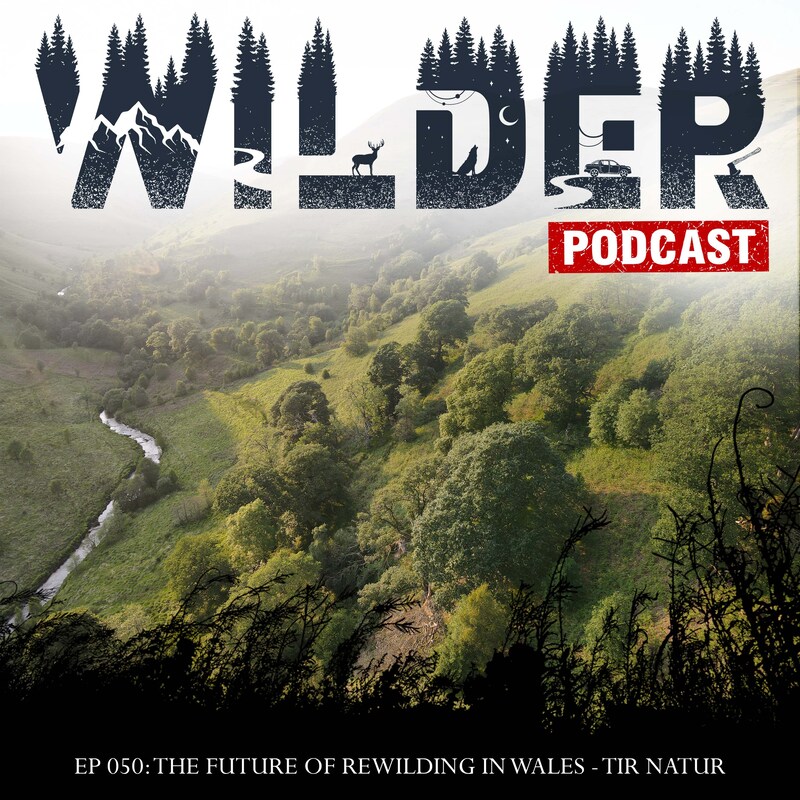 Artwork for podcast Wilder Podcast