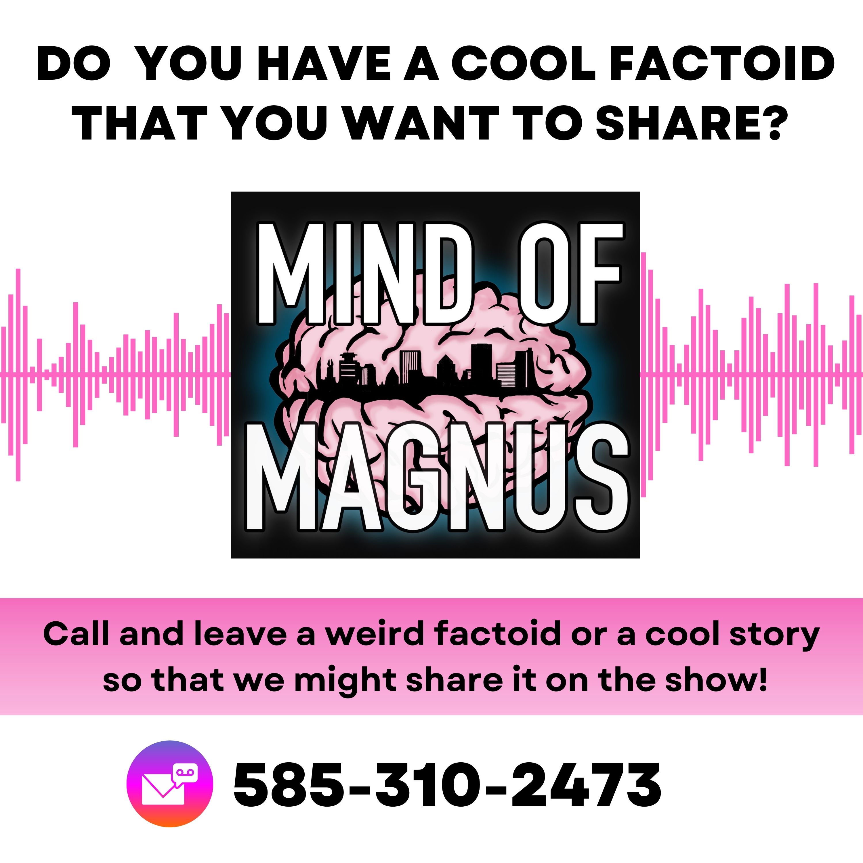 Mind Of Magnus