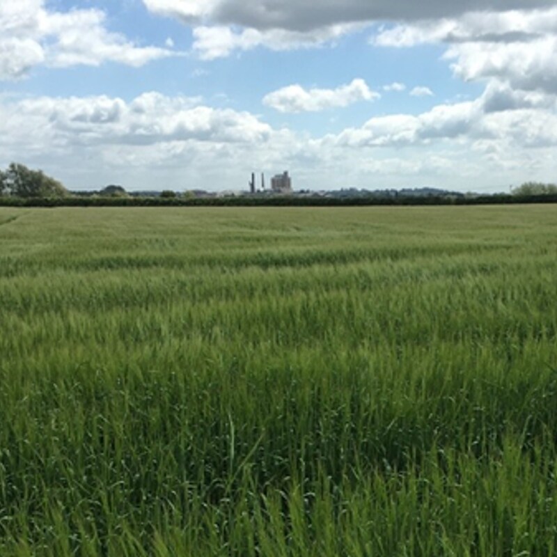 Artwork for podcast AHDB Food & Farming