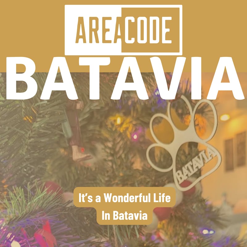 Artwork for podcast Area Code: Batavia