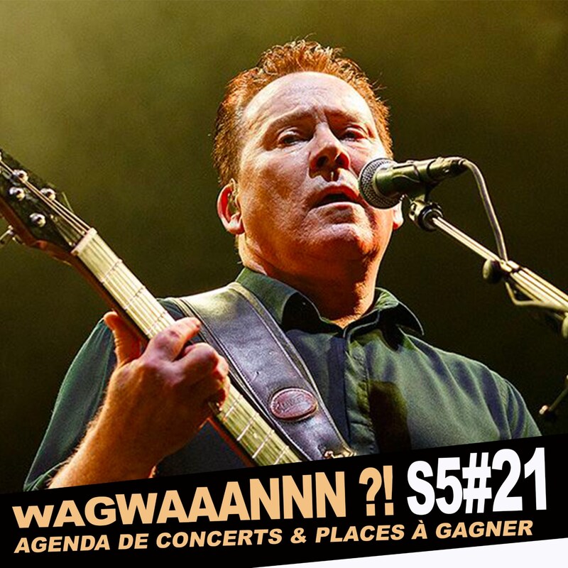 Artwork for podcast WAGWAAANNN ?!