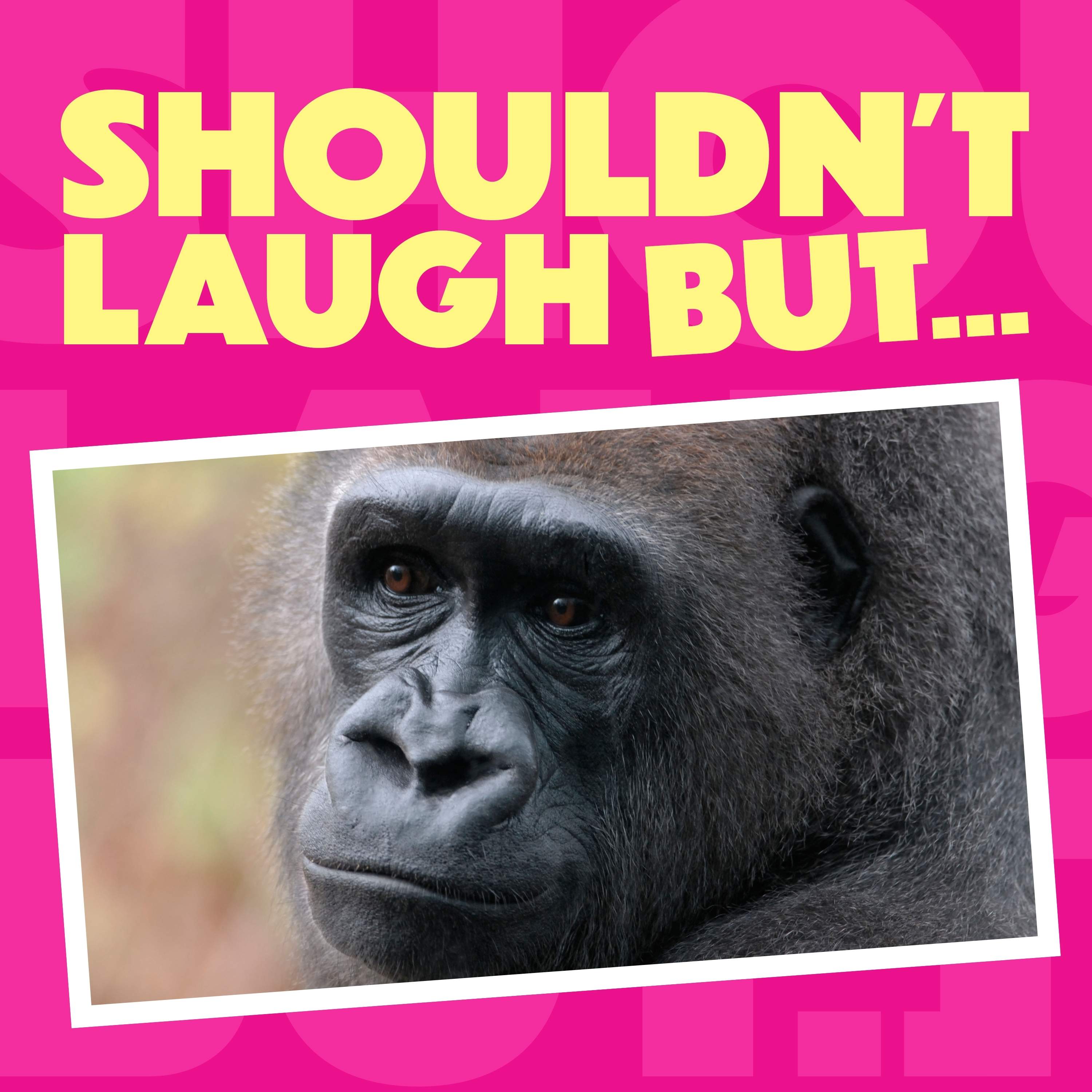 100 Men vs 1 GORILLA! Day 7 of the 12 Laughs of Christmas episode artwork