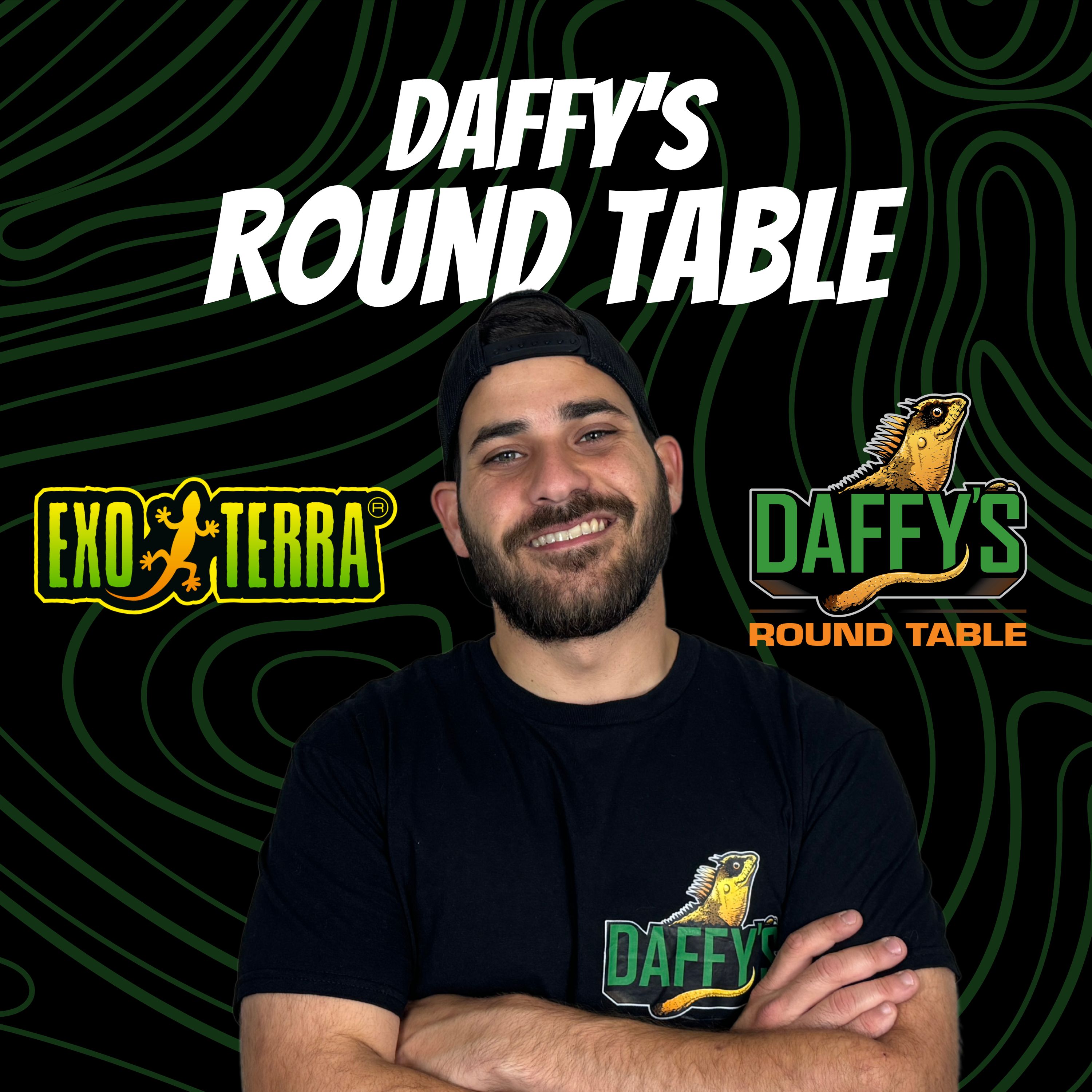 Show artwork for Daffy's Round Table
