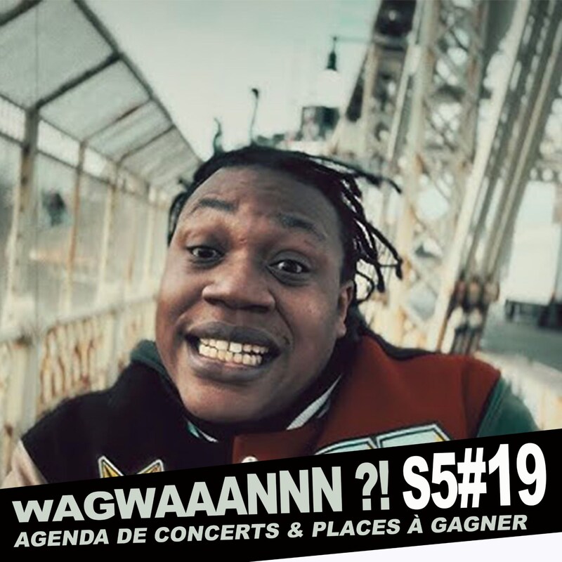 Artwork for podcast WAGWAAANNN ?!