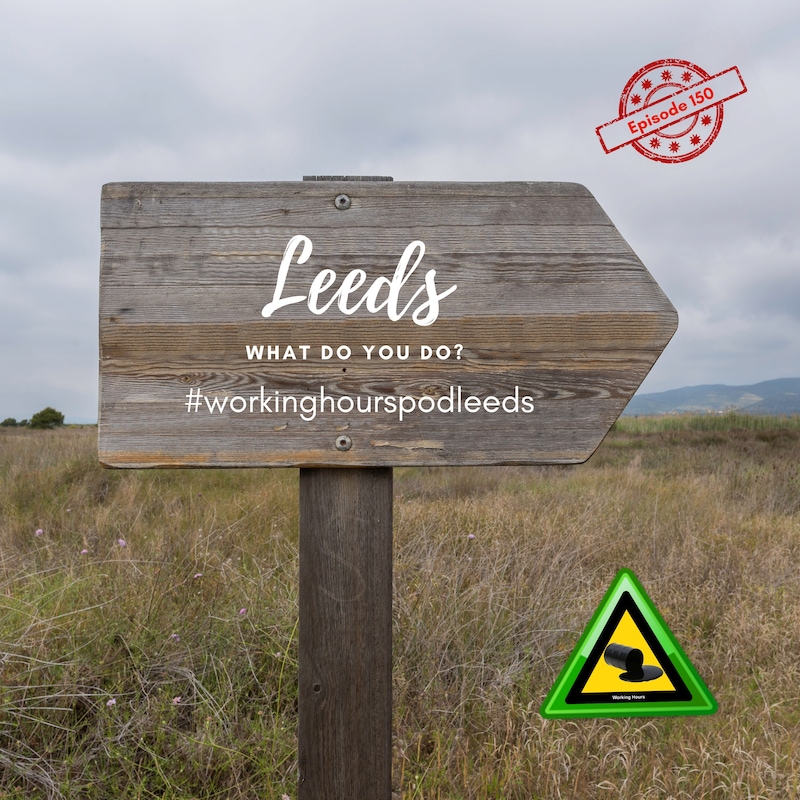 Artwork for podcast Working Hours