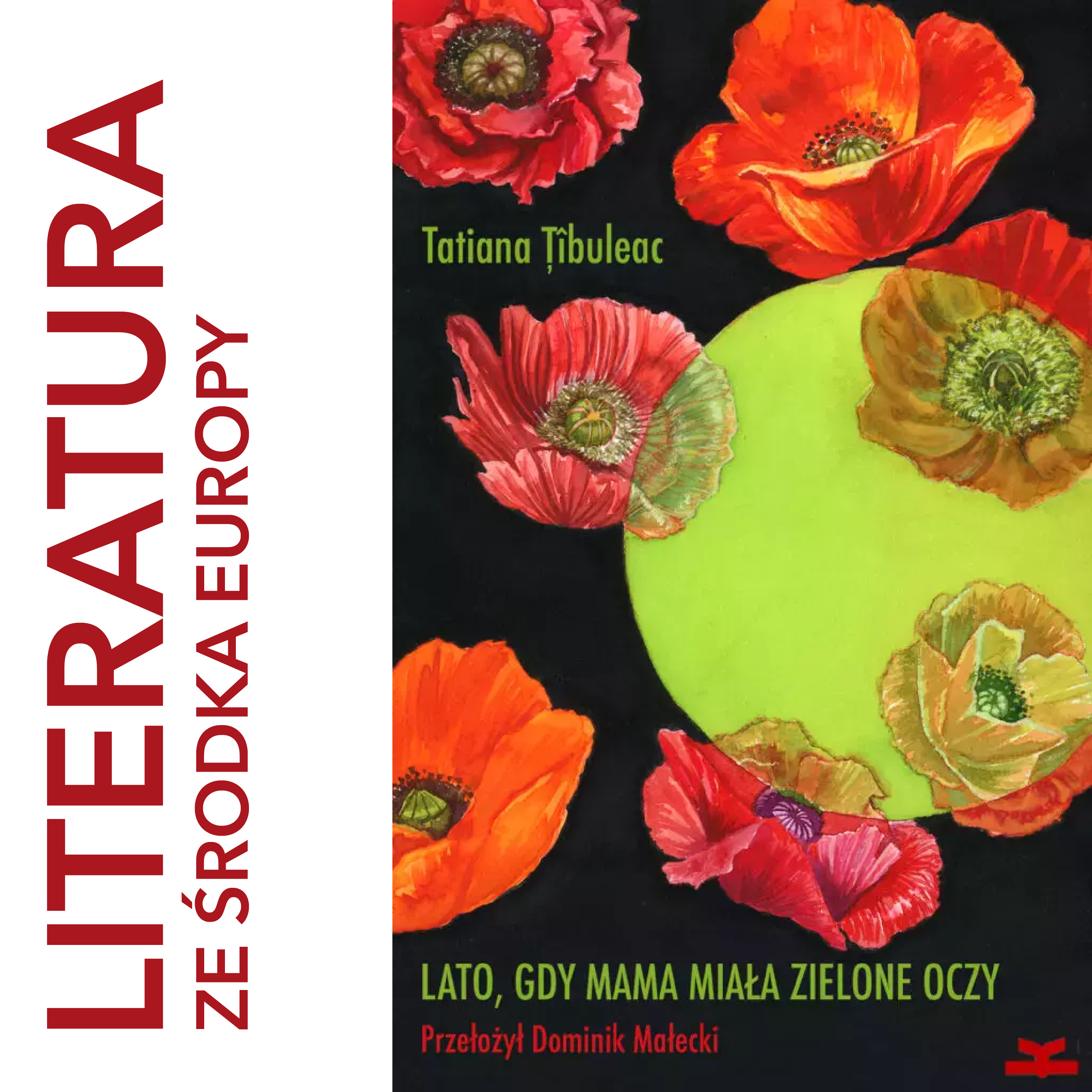 literatura ze środka Europy