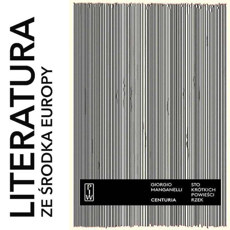 Artwork for podcast Literatura ze środka Europy