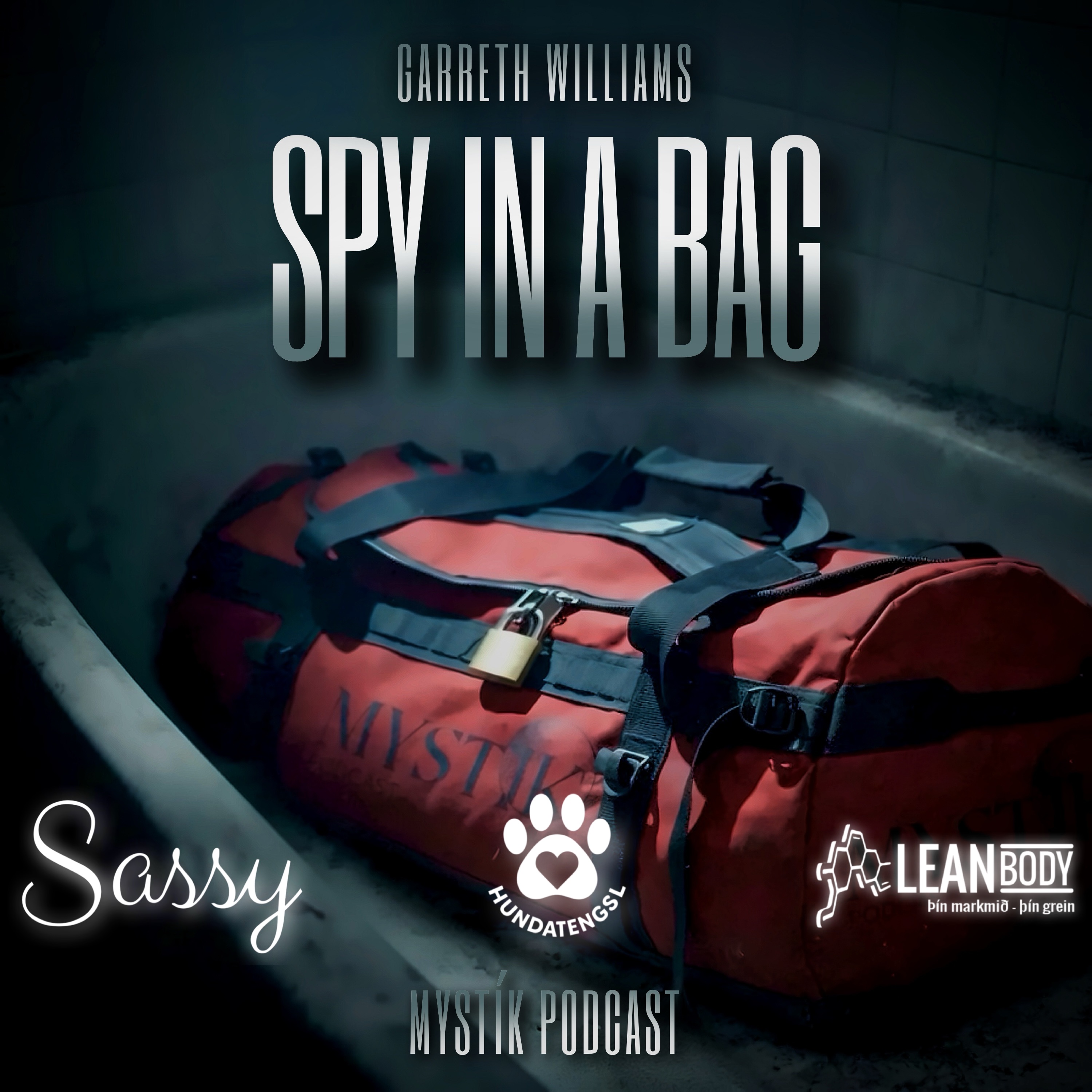 DULARFULLT: SPY IN A BAG 🎒 episode artwork
