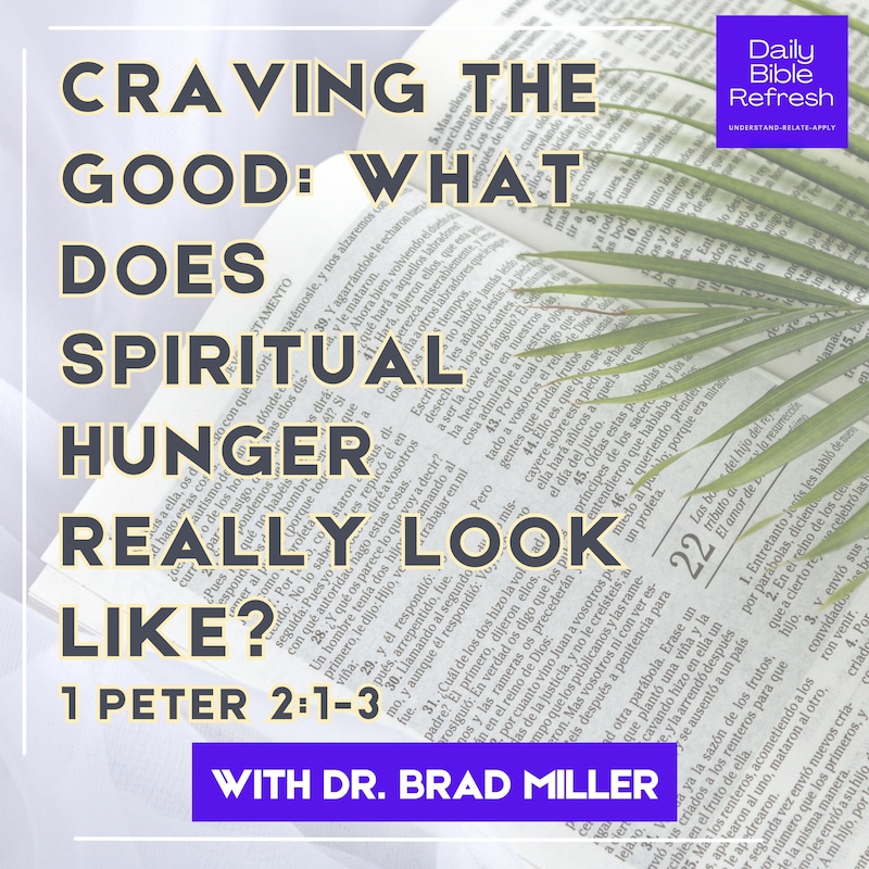Artwork for podcast Daily Bible Refresh