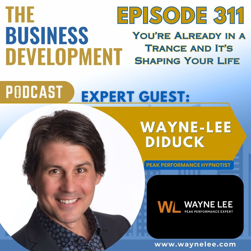 Artwork for podcast The Business Development Podcast