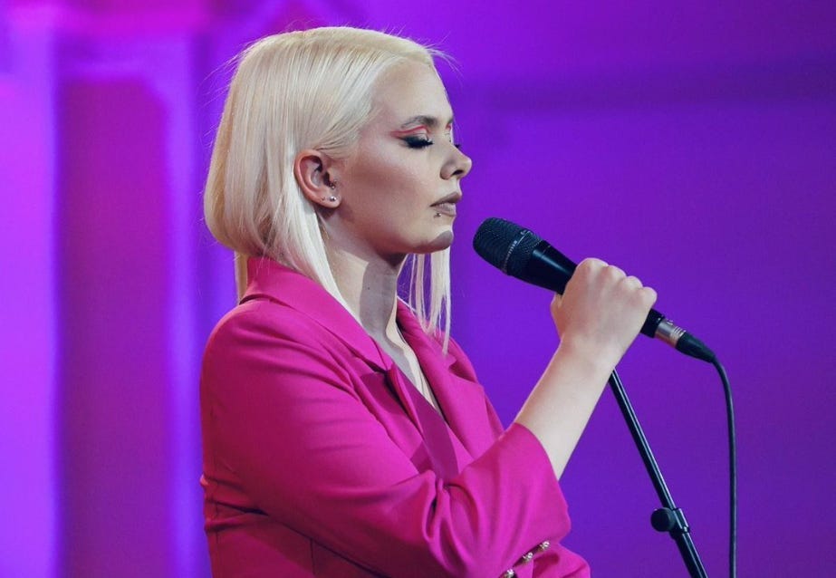 The Singer Songwriter - Vanja Mišić