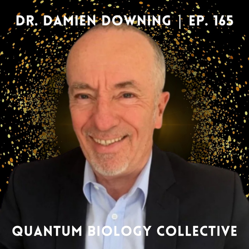 Artwork for podcast The Quantum Biology Collective Podcast