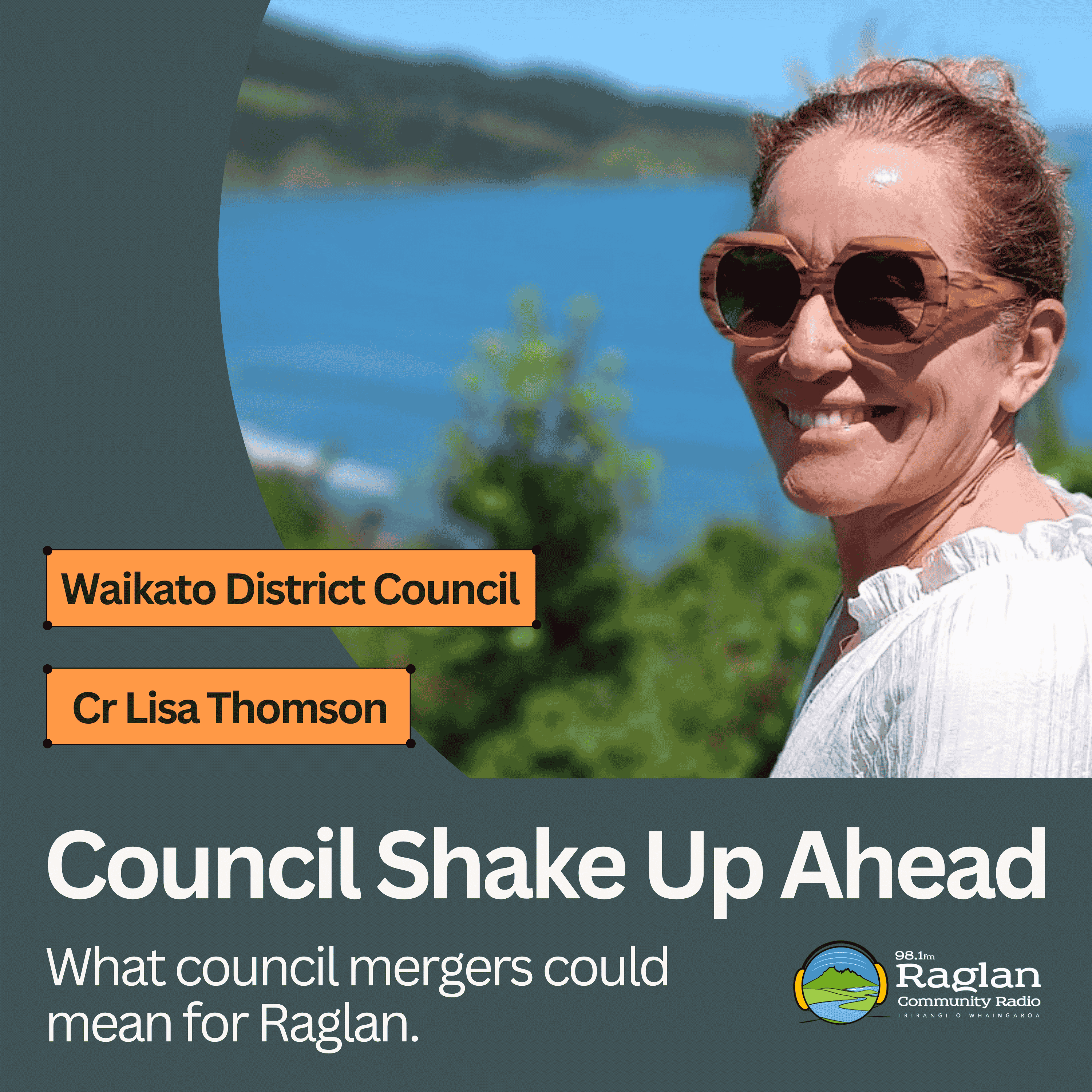 http://Lisa%20Thomson%20Council%20on%20Government%20Reforms
