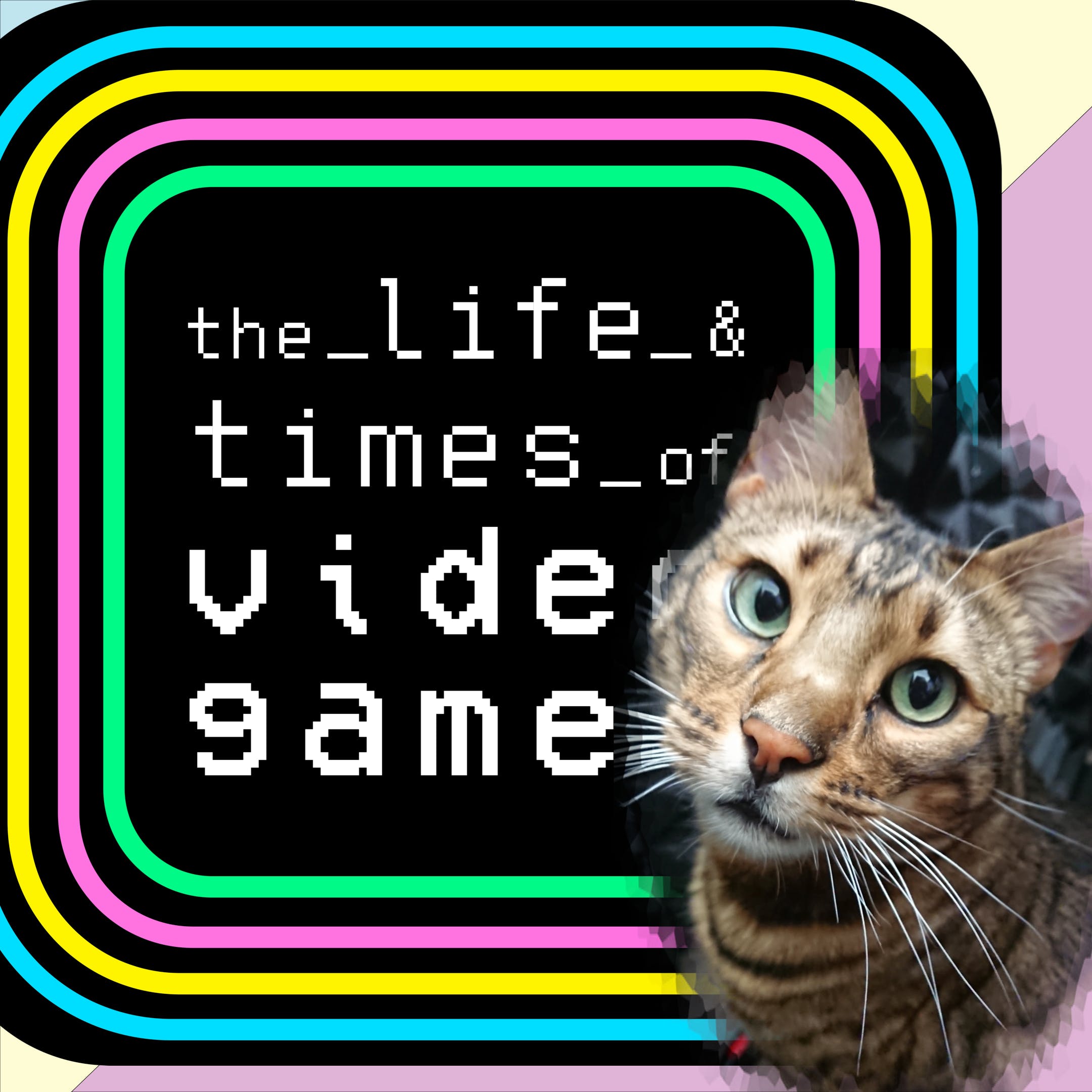 Artwork for podcast The Life & Times of Video Games