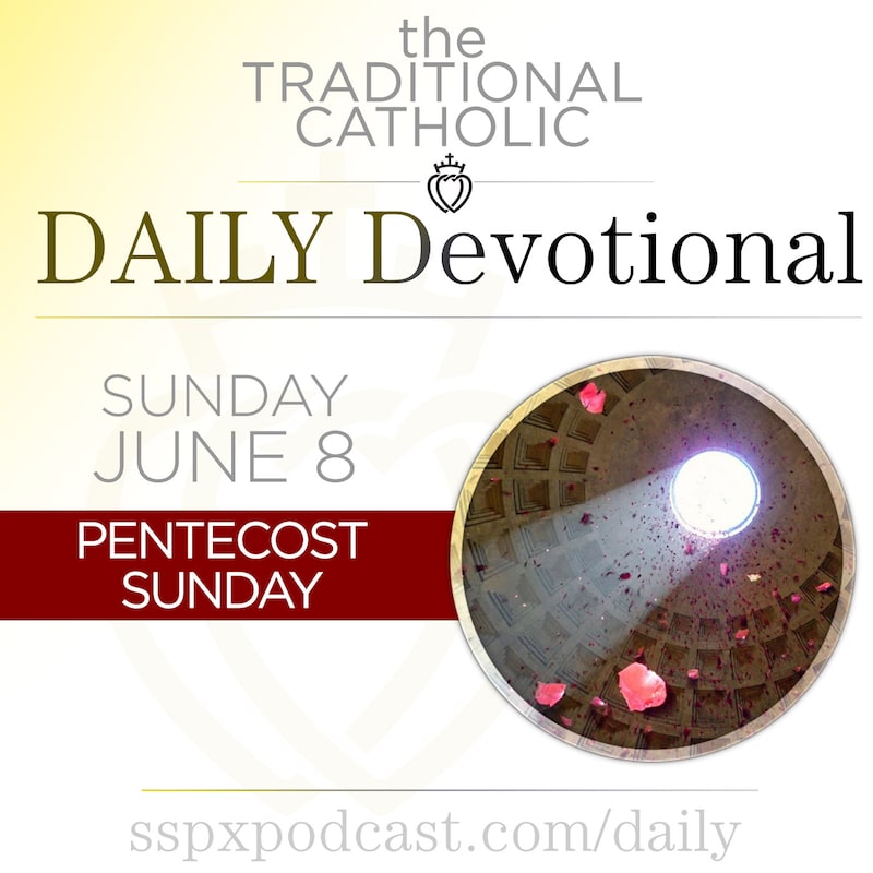 Artwork for podcast Traditional Catholic Daily Devotional