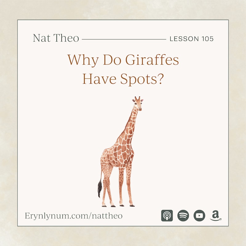 Artwork for podcast Nat Theo Nature Lessons Rooted in the Bible