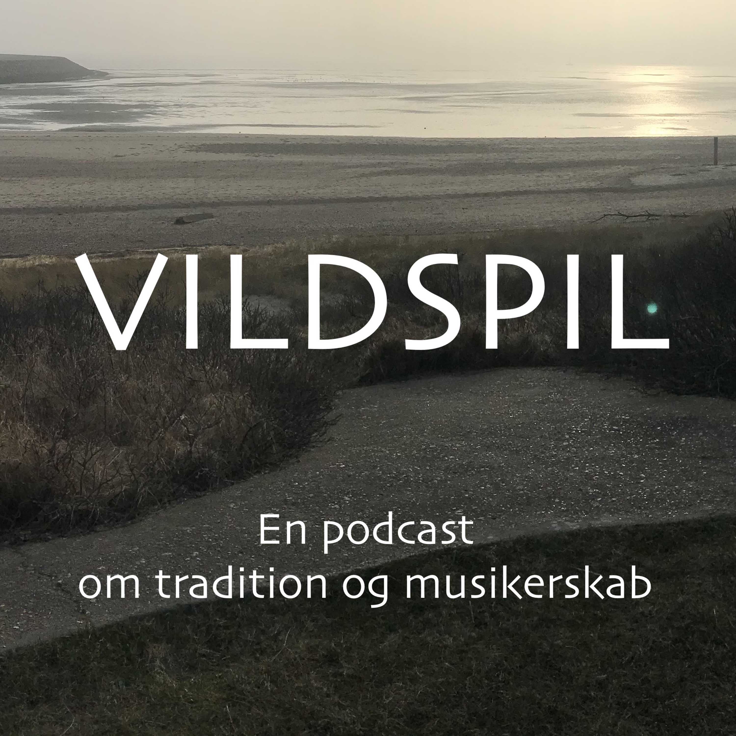 Artwork for podcast Vildspil