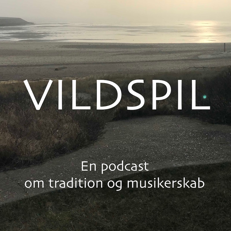 Artwork for podcast Vildspil
