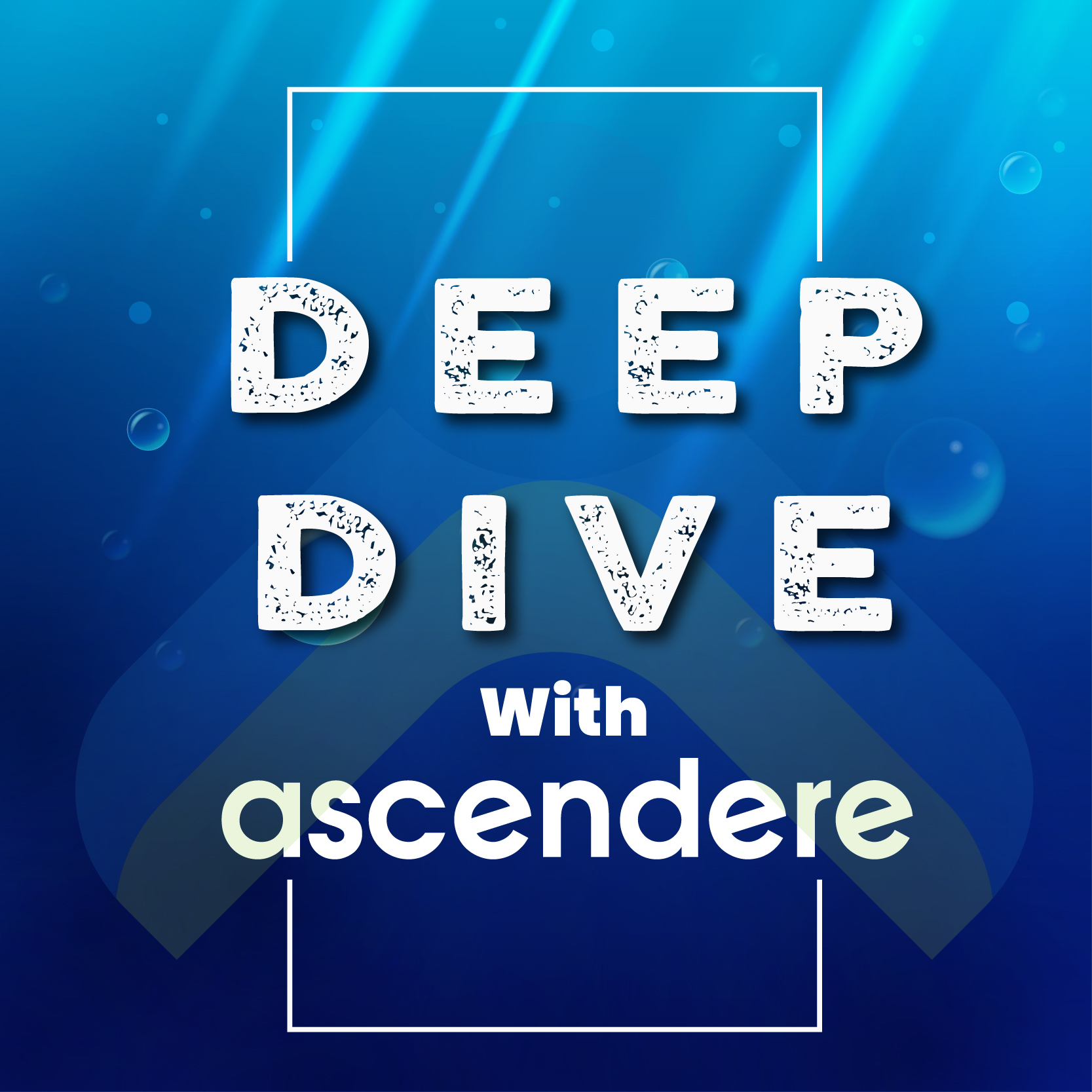 Bridging the Gap - The Finance Business Partner Role