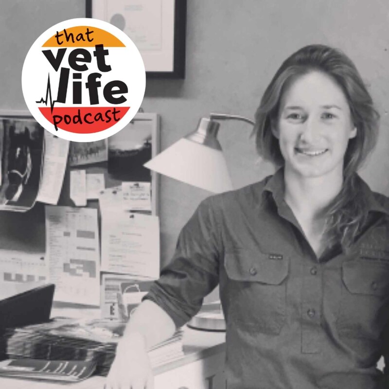 Artwork for podcast The 'So You're A Vet... Now What?' Podcast