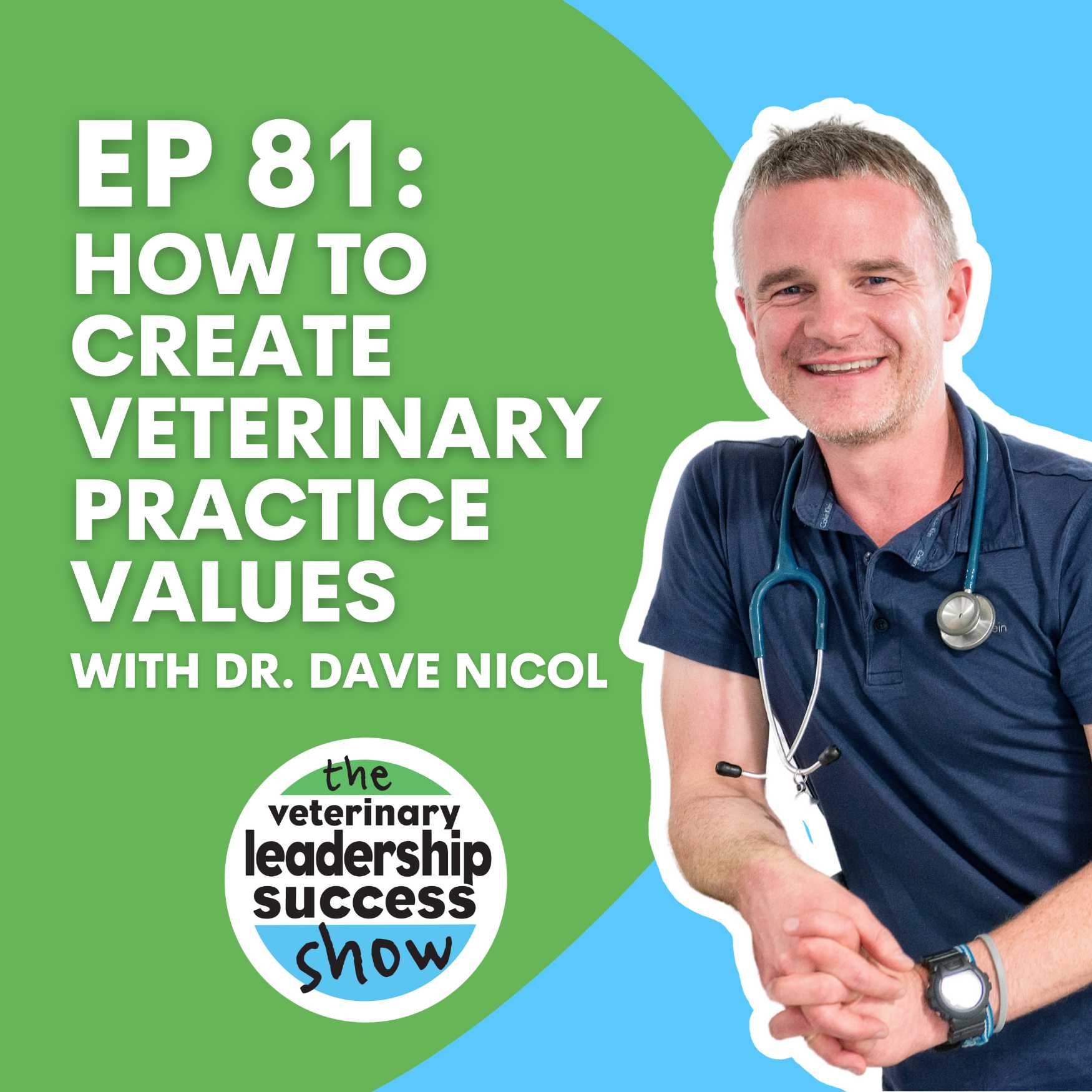 Ep 81: How To Create Veterinary Practice Values