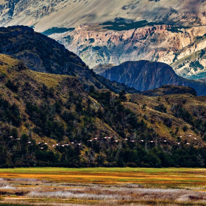 Route of Parks: Rewilding Chile with Groundbreaking Conservationist and former Patagonia CEO Kris Tompkins