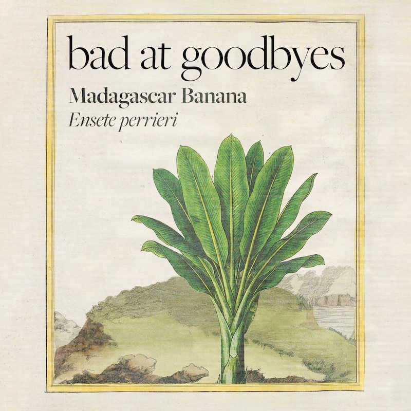 Artwork for podcast Bad at Goodbyes
