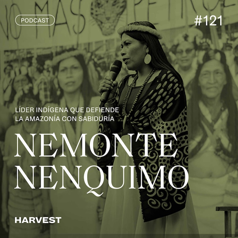 Artwork for podcast Harvest Series
