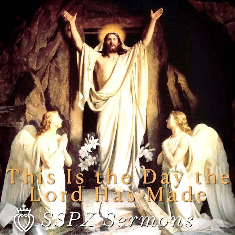 Artwork for podcast SSPX Sermons