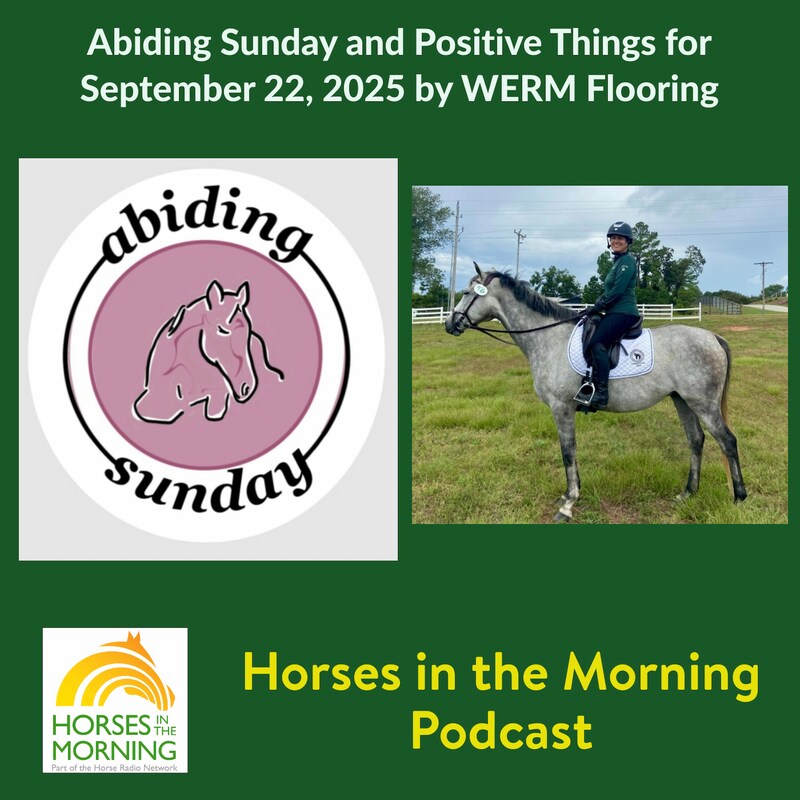 Artwork for podcast HORSES IN THE MORNING
