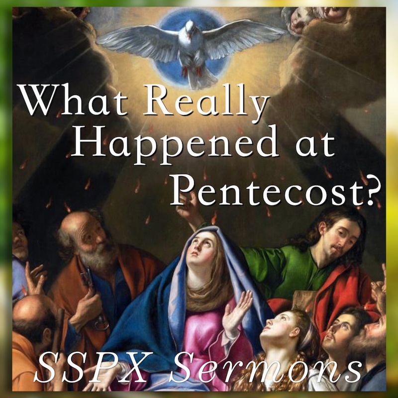 Artwork for podcast SSPX Sermons