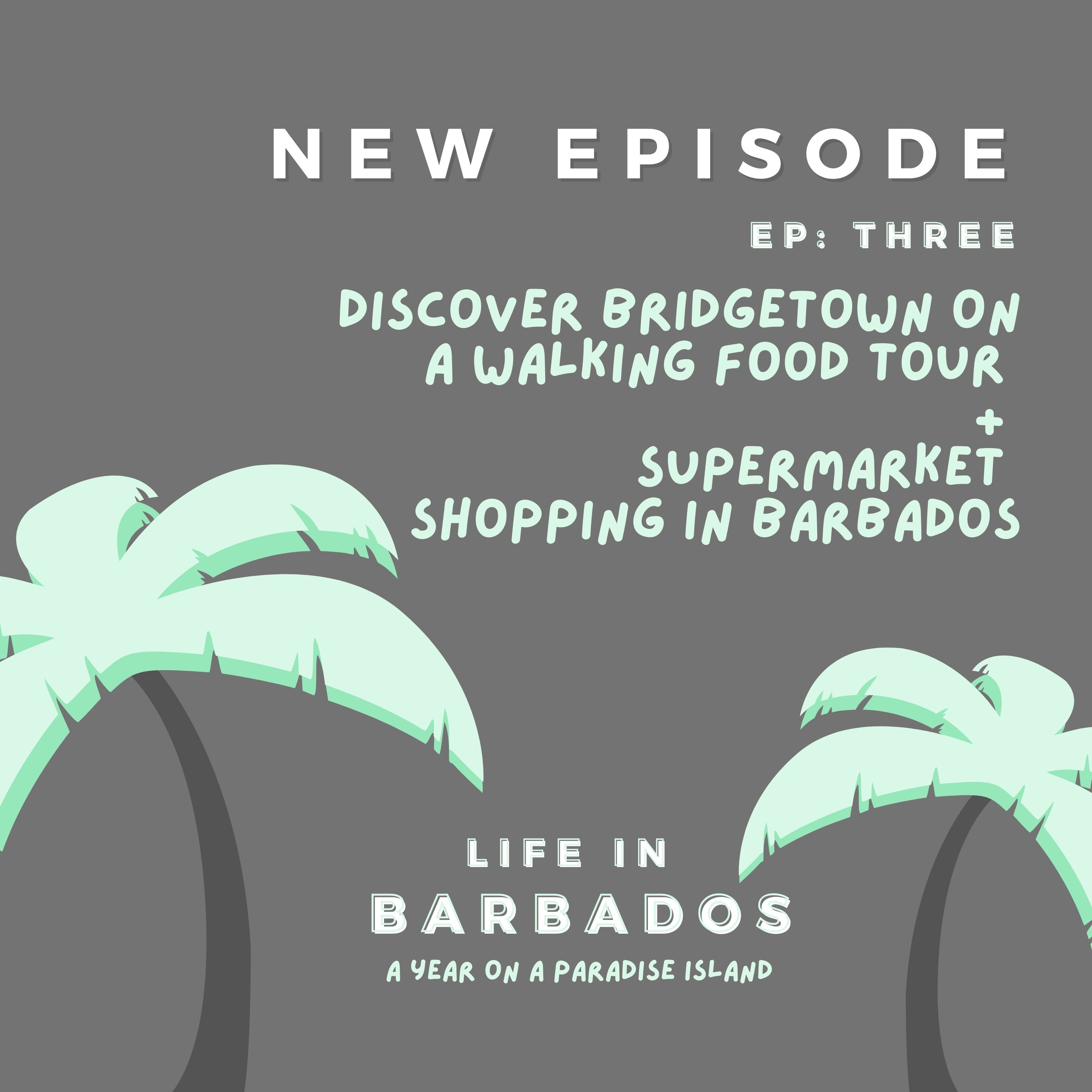 Life in Barbados: A Year On A Paradise Island (Otherworld Travel)