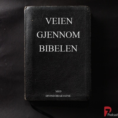 Artwork for podcast Veien gjennom Bibelen - en podcast fra P7 Kristen Riksradio