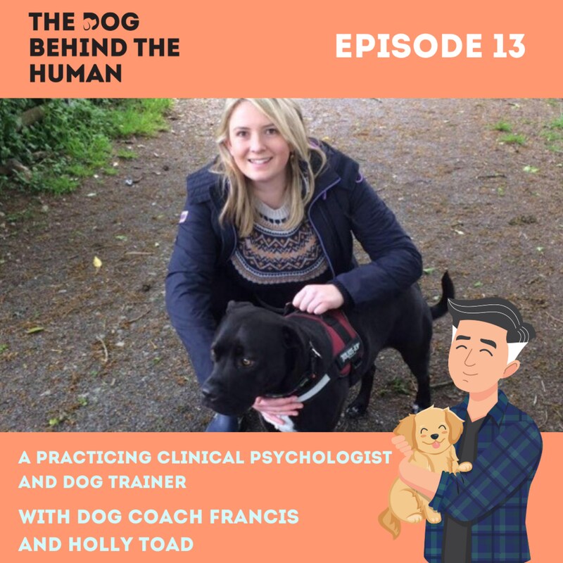 Artwork for podcast The Dog Behind The Human