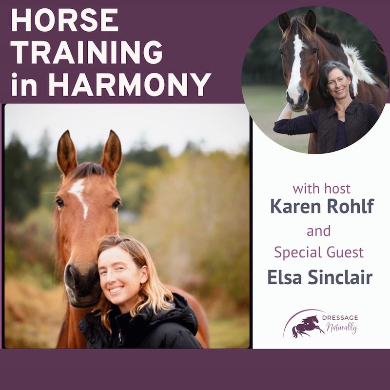 Artwork for podcast Horse Training in Harmony