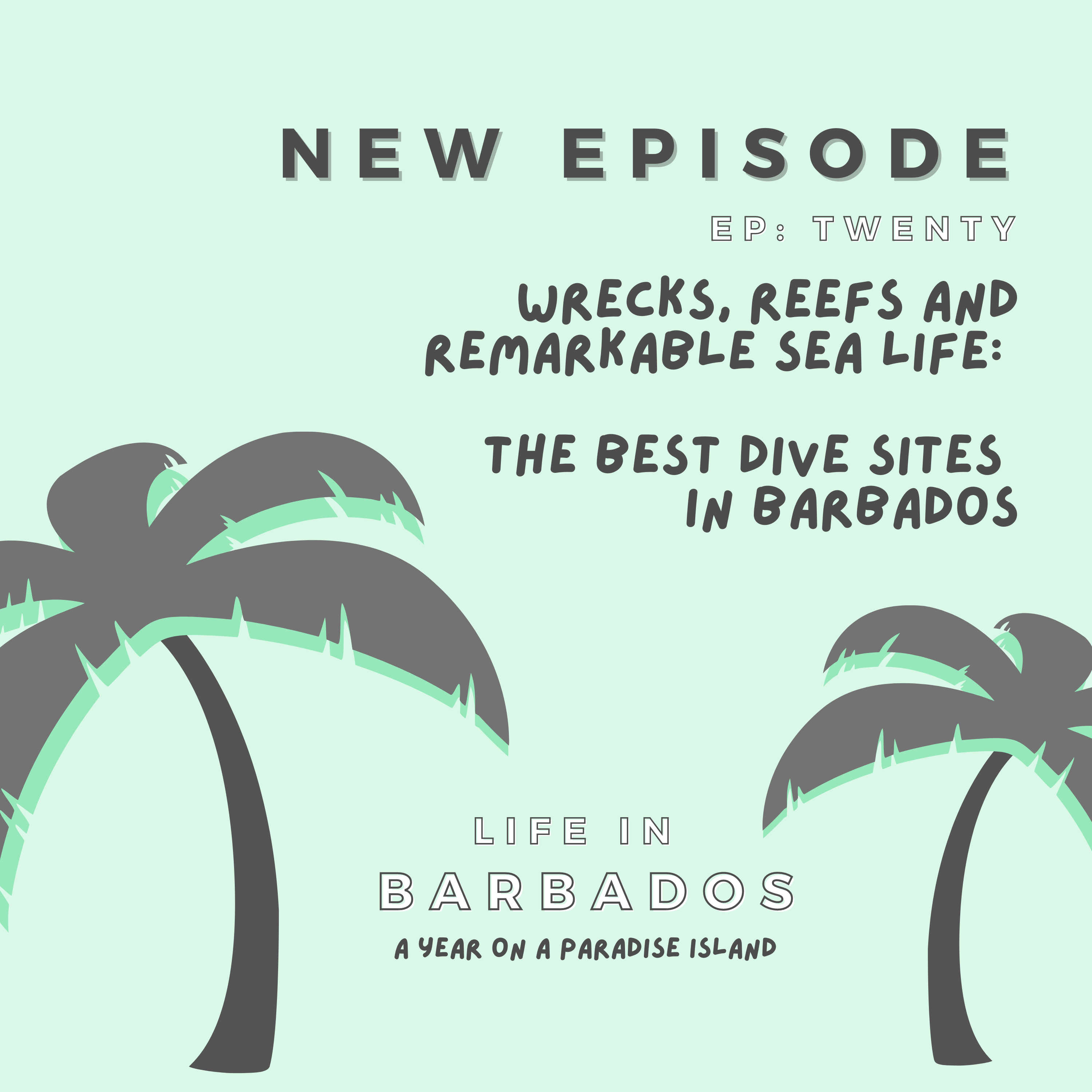 Life in Barbados: A Year On A Paradise Island (Otherworld Travel)