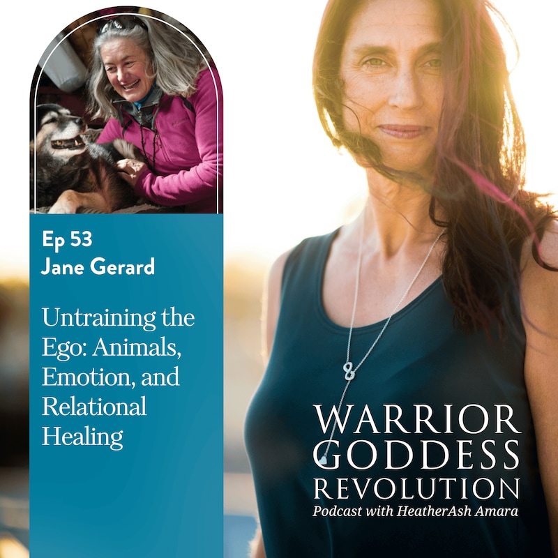 Artwork for podcast Warrior Goddess Revolution
