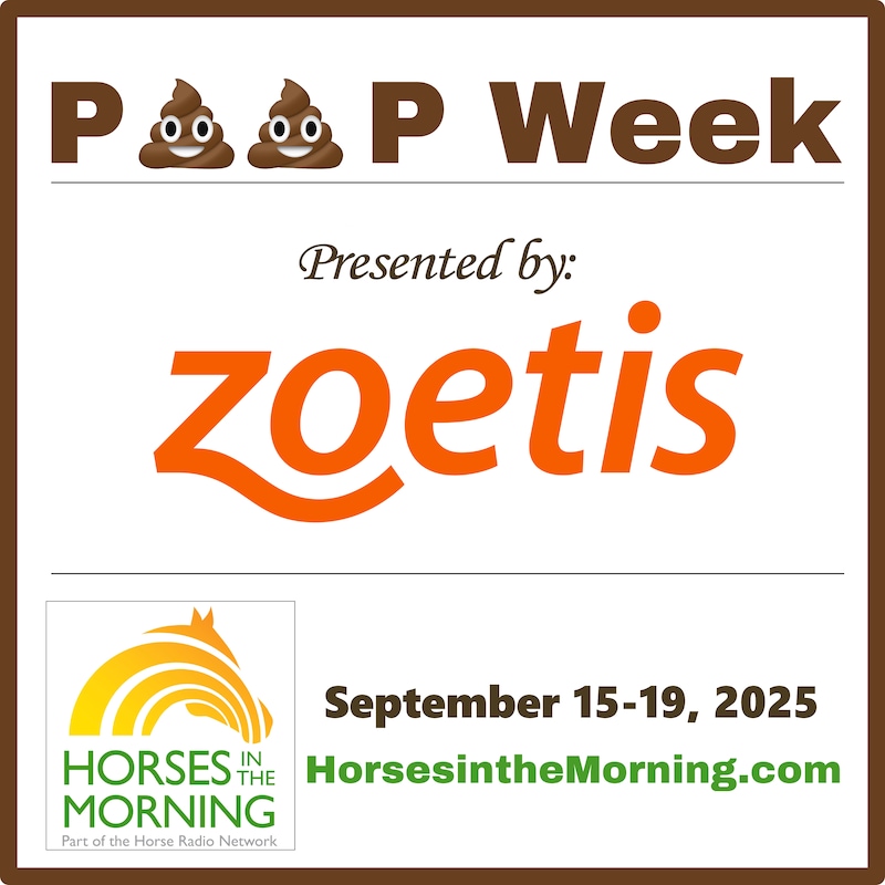 Artwork for podcast Horses in the Morning