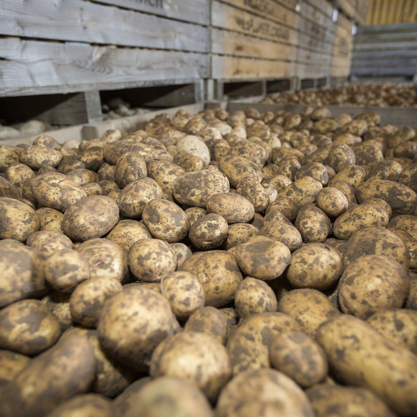 AHDB Food & Farming
