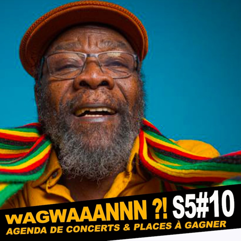 Artwork for podcast WAGWAAANNN ?!