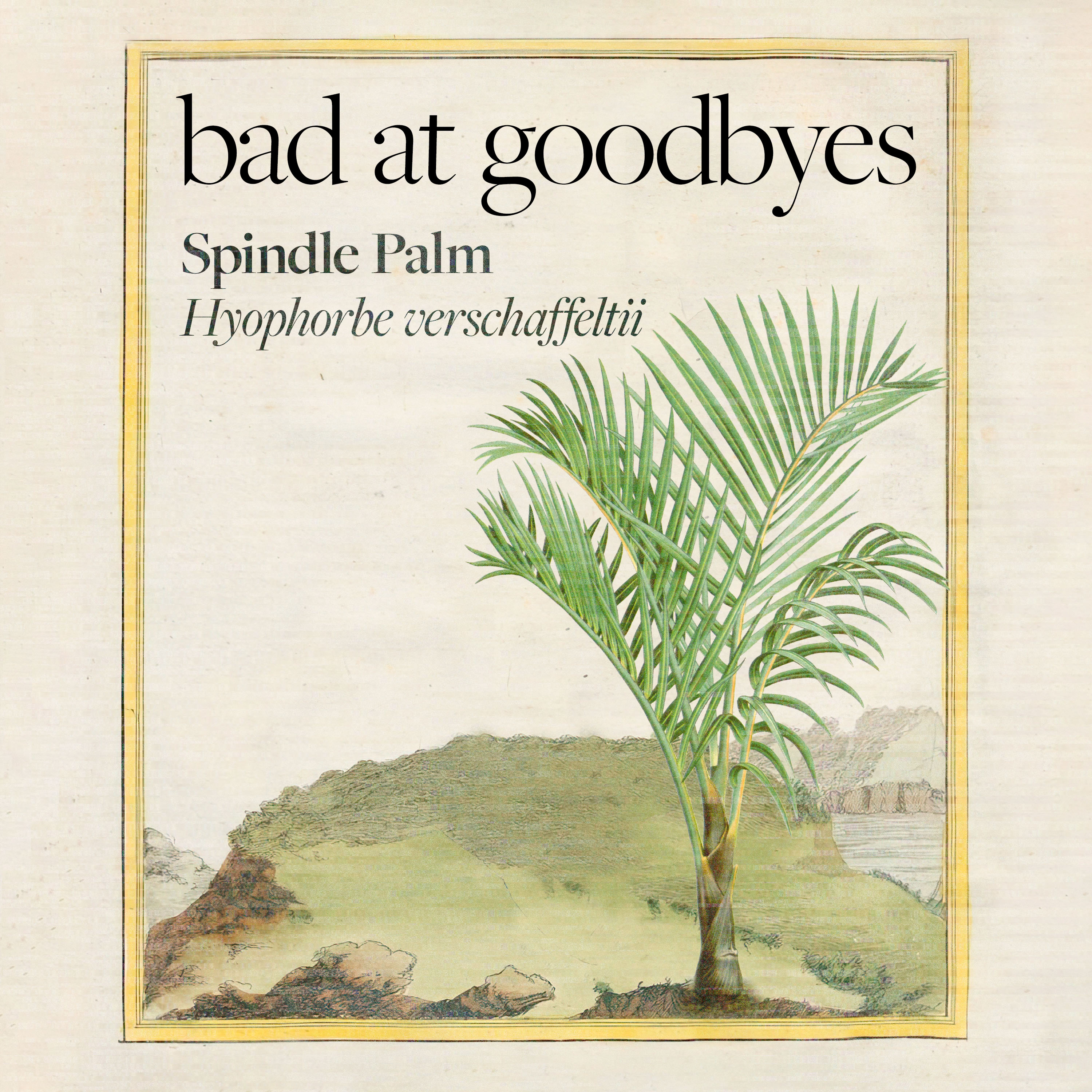 Spindle Palm episode artwork