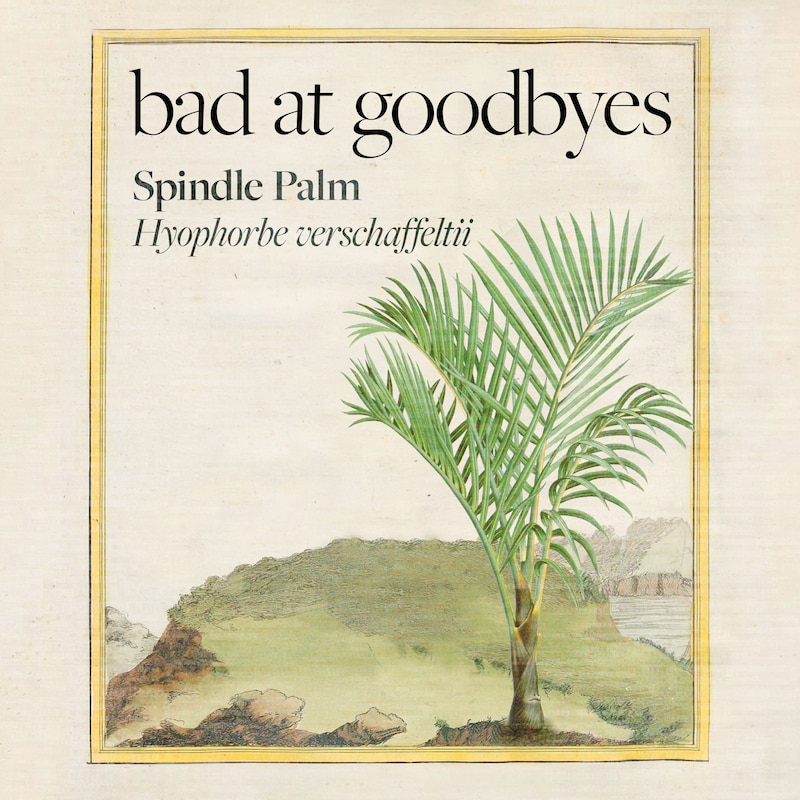 Artwork for podcast Bad at Goodbyes