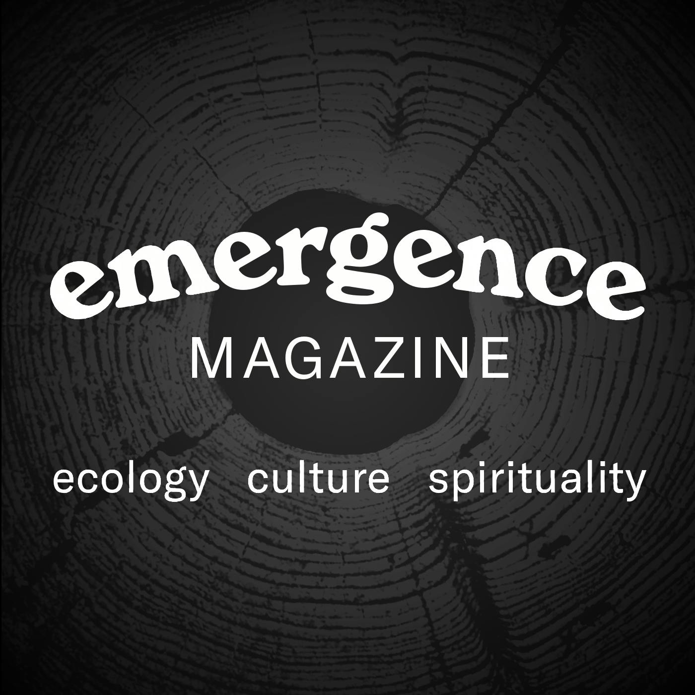 Atlas with Shifting Edges – Elizabeth Rush