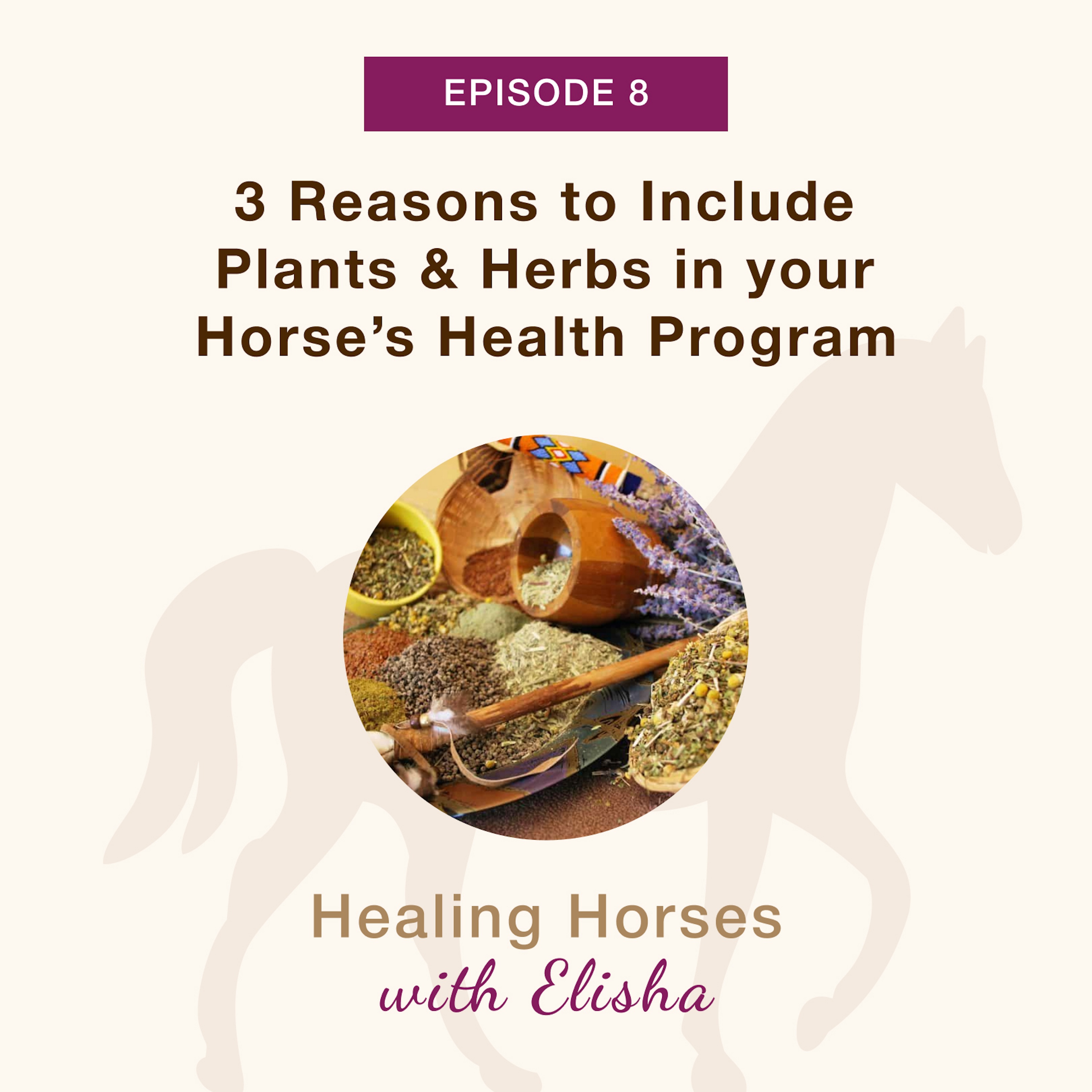 08: 3 Reasons to Include Herbs & Plants in your Horse’s Health Program